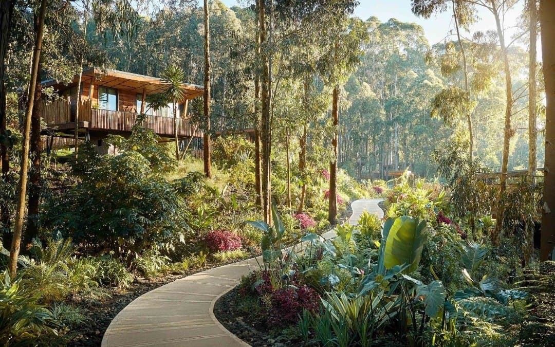The Ultimate 7-Day Rwanda Safari Itinerary