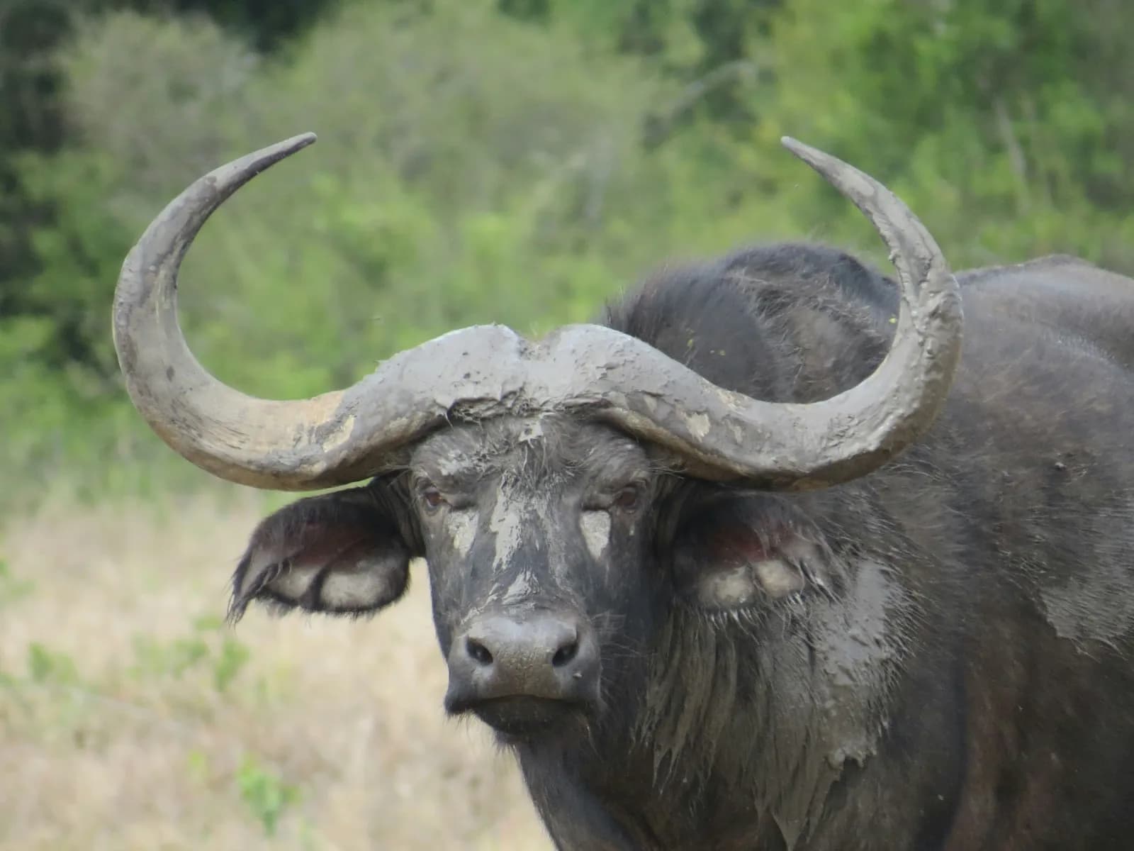 9 Days Epic Magical Kenya Safari