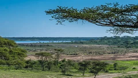 3 Days Serengeti Adventure Safari